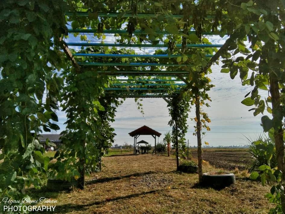 Tamteh Homestay Ayer Hitam Extérieur photo